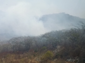 Se contin&uacute;a operativo emergente para contenci&oacute;n y liquidaci&oacute;n de incendio en el Parque Nacional Ca&ntilde;&oacute;n del Sumidero.