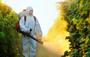 La CNDH recomienda a México restringir uso de plaguicidas de alta peligrosidad