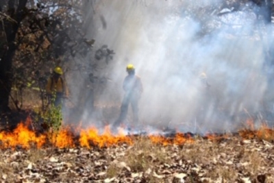 “Nuestra BIOSFERA:  Arde Chiapas: Vuelven los Temidos incendios forestales&quot;